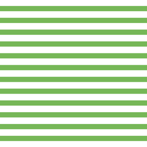 Aileen 3/4 Sleeve Stripe/Gingham Combo Top