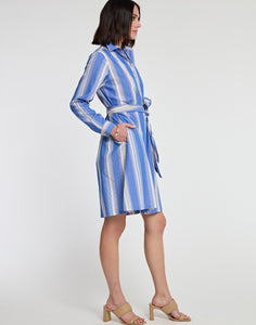 Tamron Long Sleeve Awning Stripe Print Dress