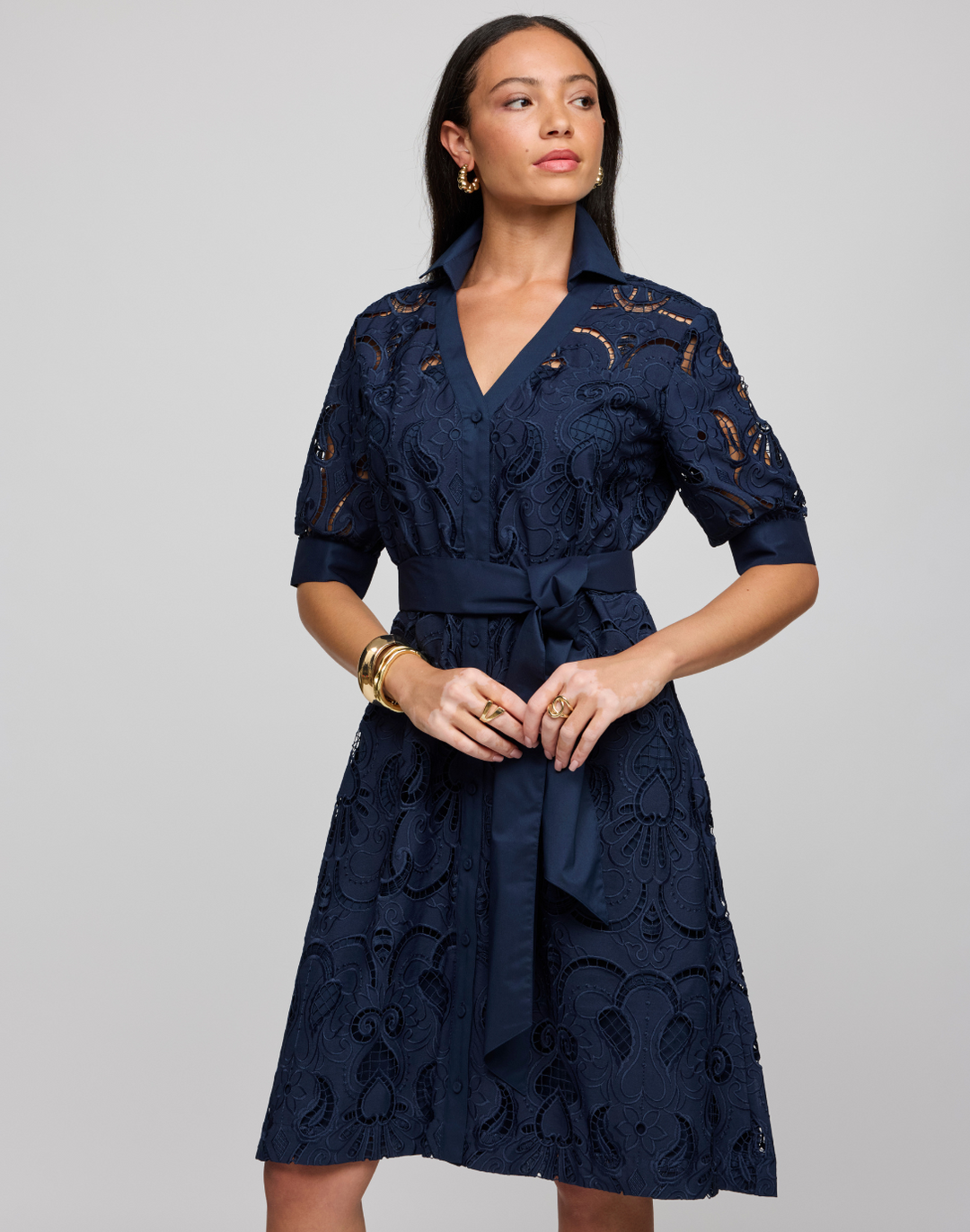Luca Elbow Sleeve Embroidered Eyelet  Dress