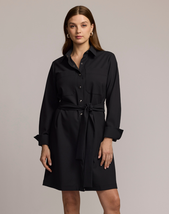 Astrid Long Sleeve Traveler's Twill Dress