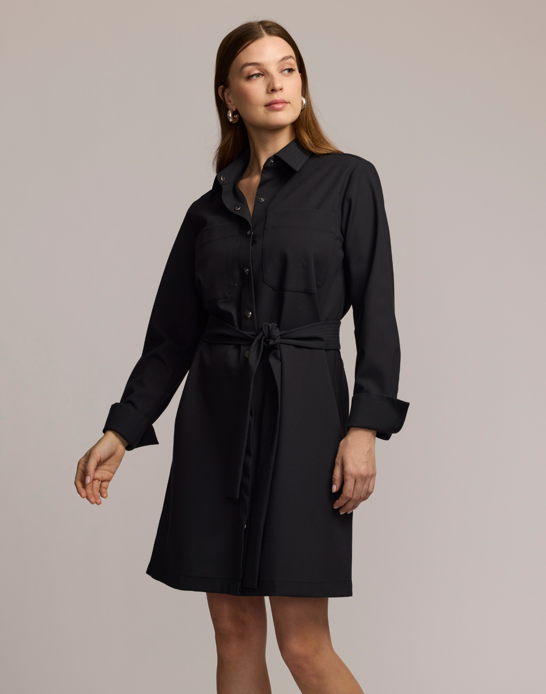 Astrid Long Sleeve Traveler's Twill Dress