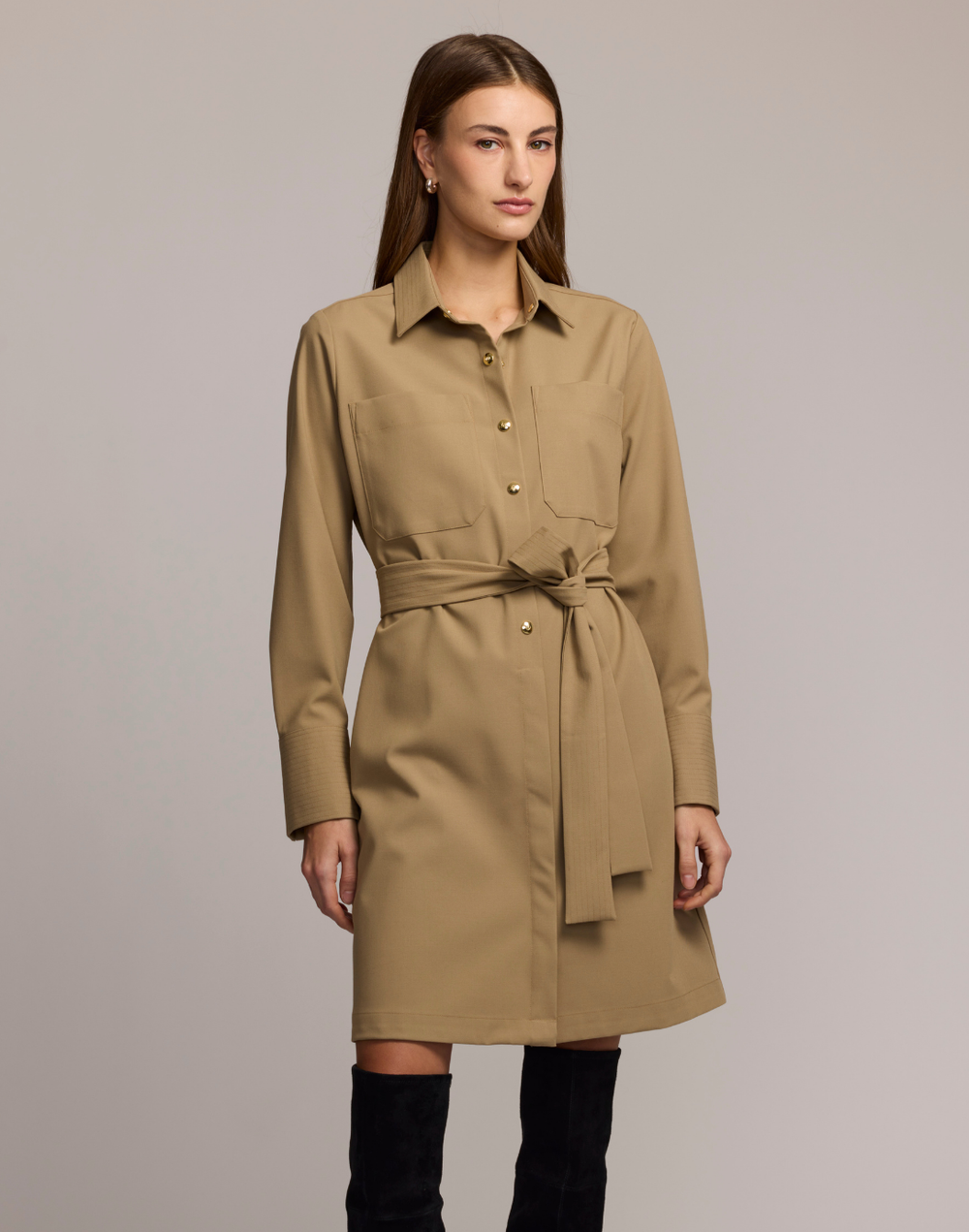 Astrid Long Sleeve Traveler's Twill Dress