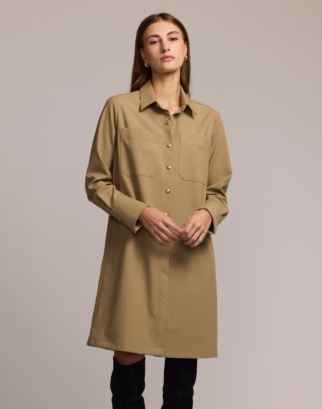 Astrid Long Sleeve Traveler's Twill Dress