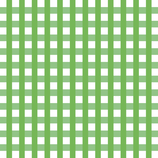 Zoey 3/4 Sleeve Gingham/Stripe Combo Shirt