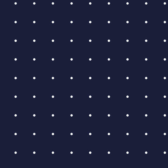 Lauren Reversible Dot Print to Solid Vest